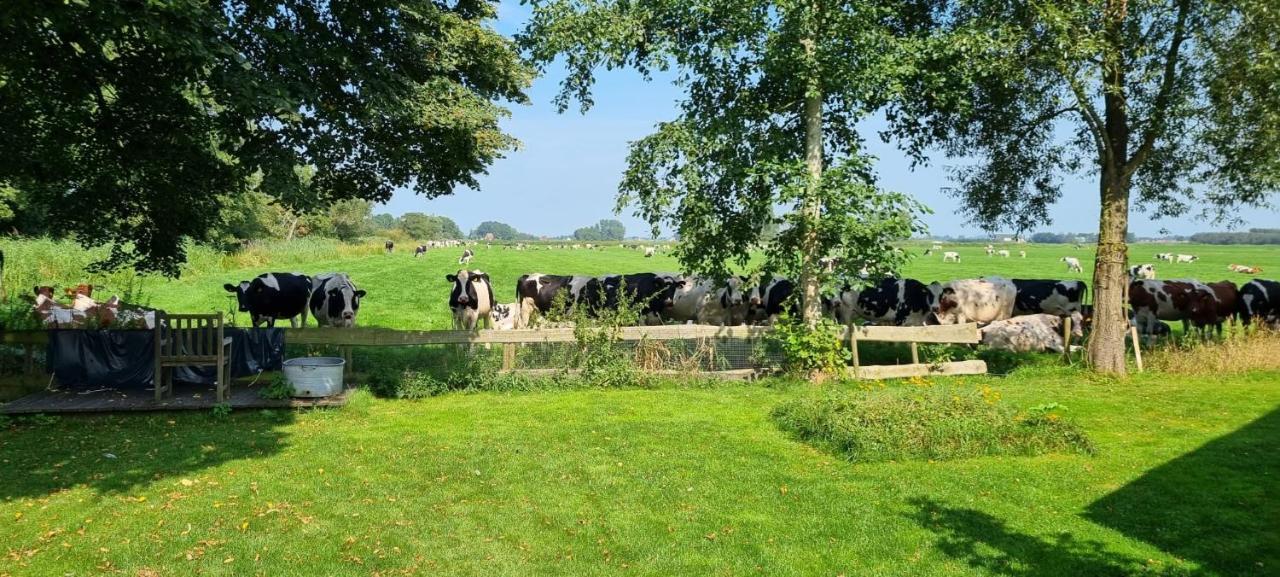BantegaSlapen Bij Bonanza别墅 外观 照片