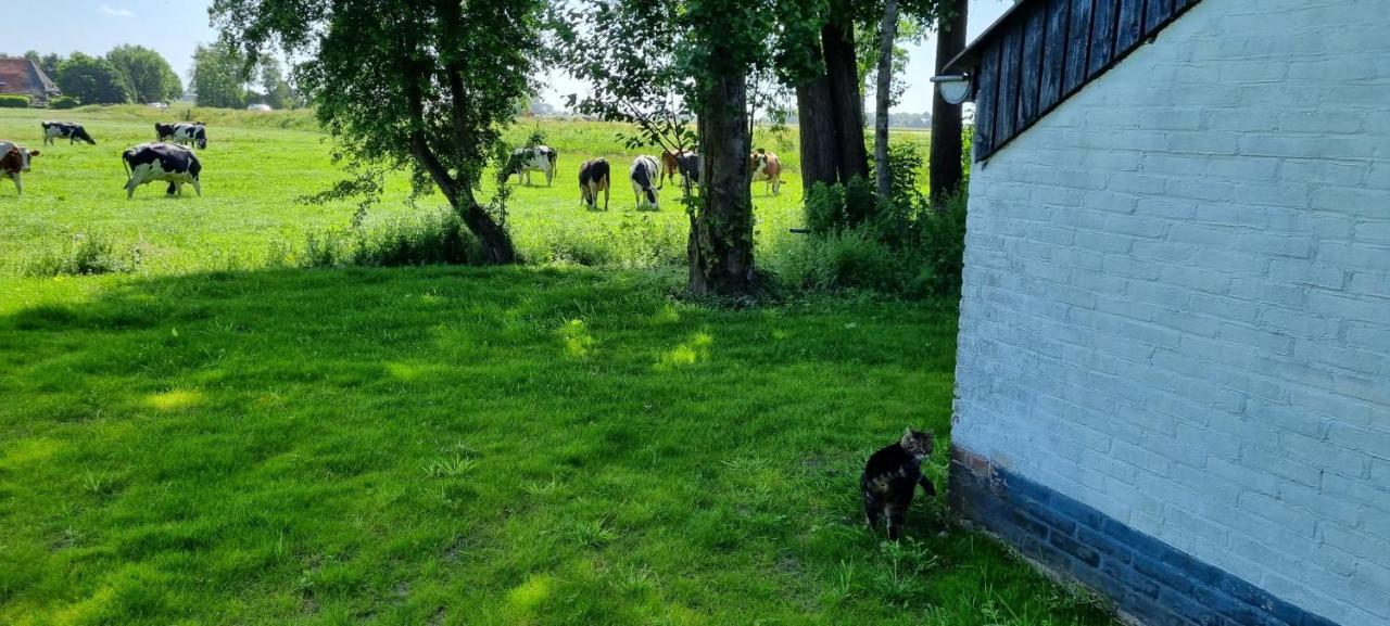 BantegaSlapen Bij Bonanza别墅 外观 照片